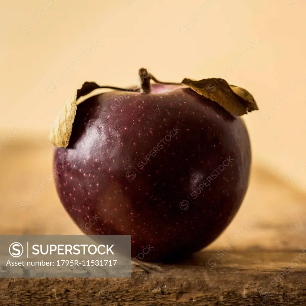 Studio shot of purple apple