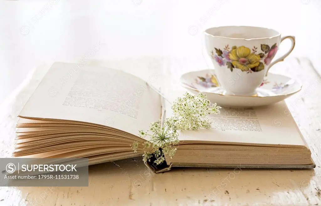 Studio shot of teacup and book with flower