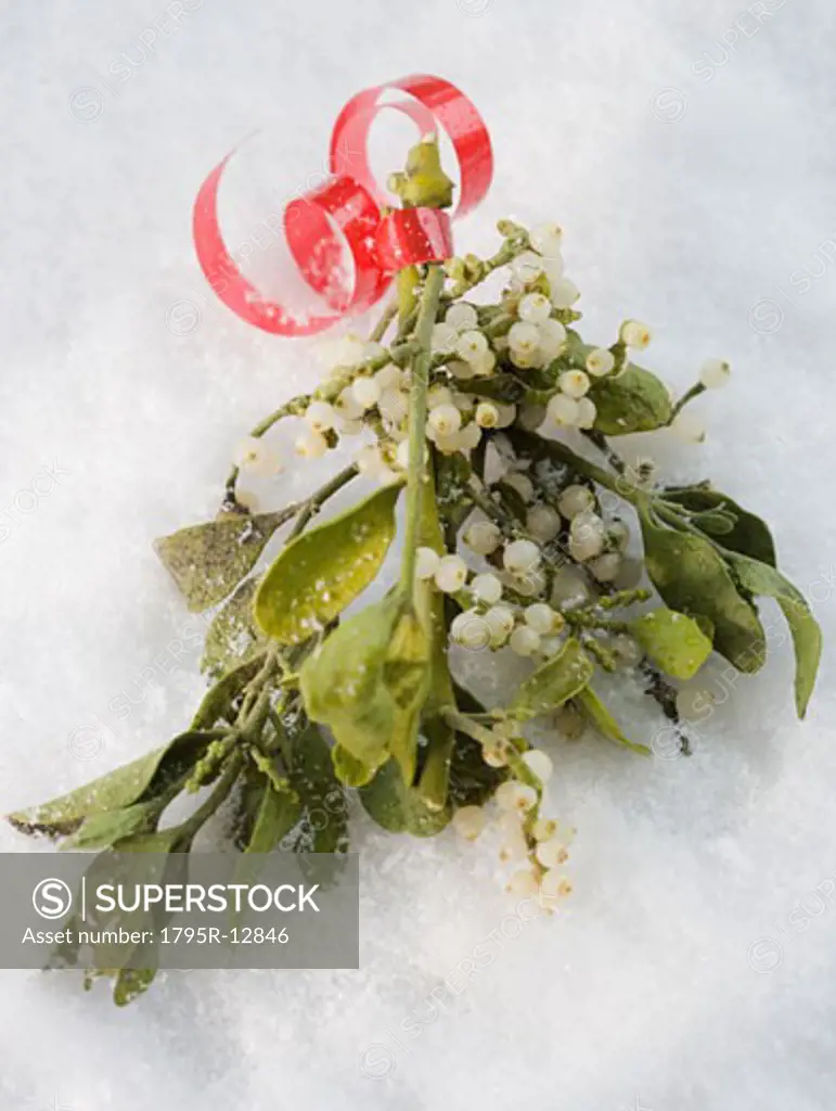 Close-up of mistletoe in snow