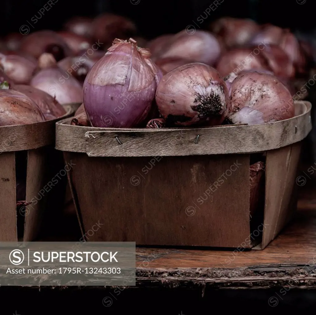 Red onions in containers