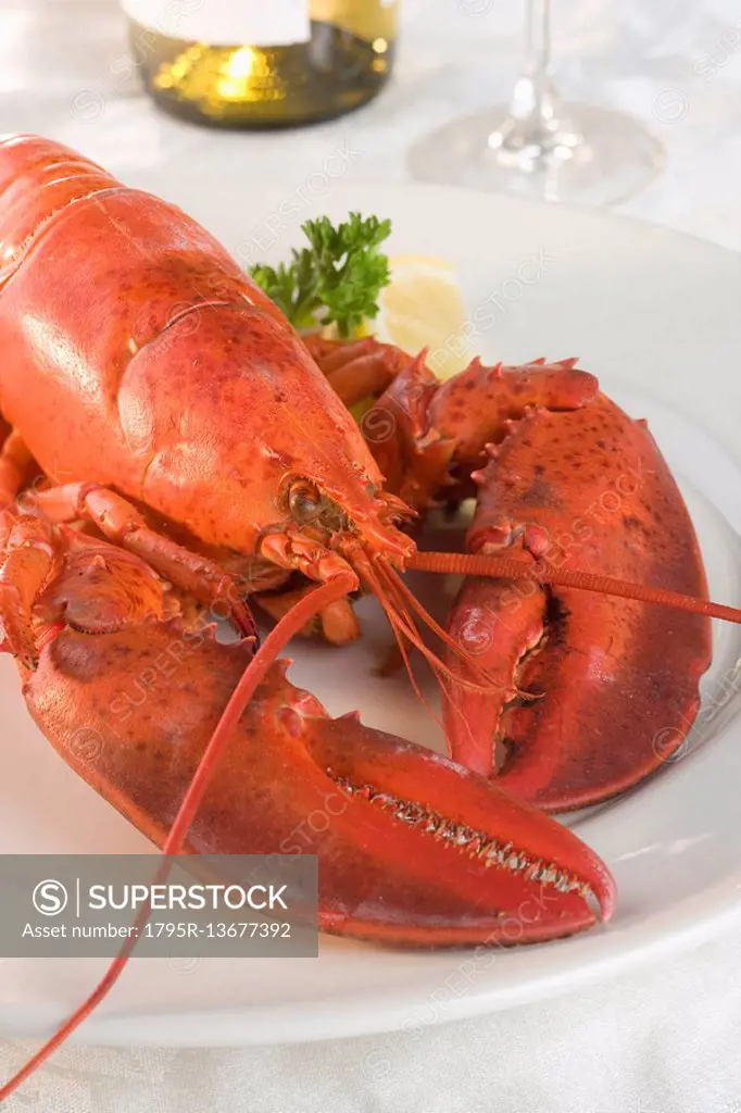 Still life of lobster and wine