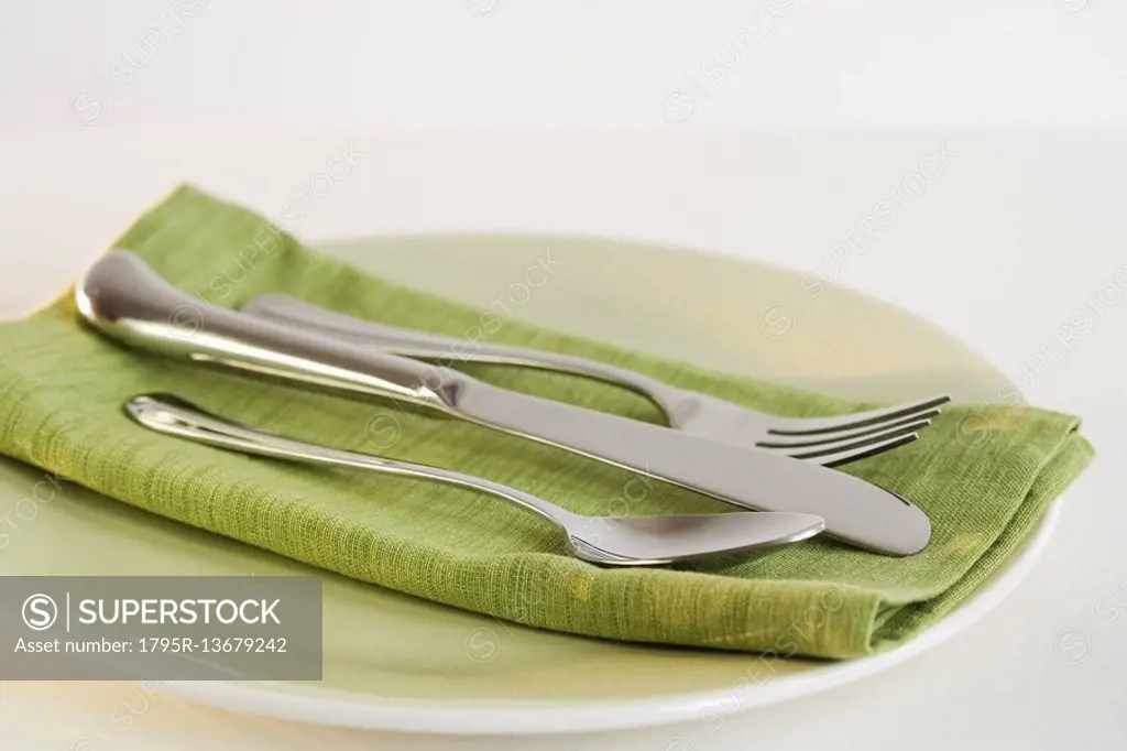 Close up of silverware and napkin on plate