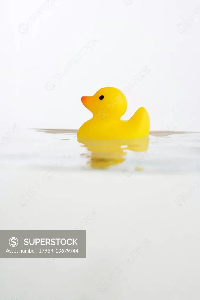 Rubber duck toy in water