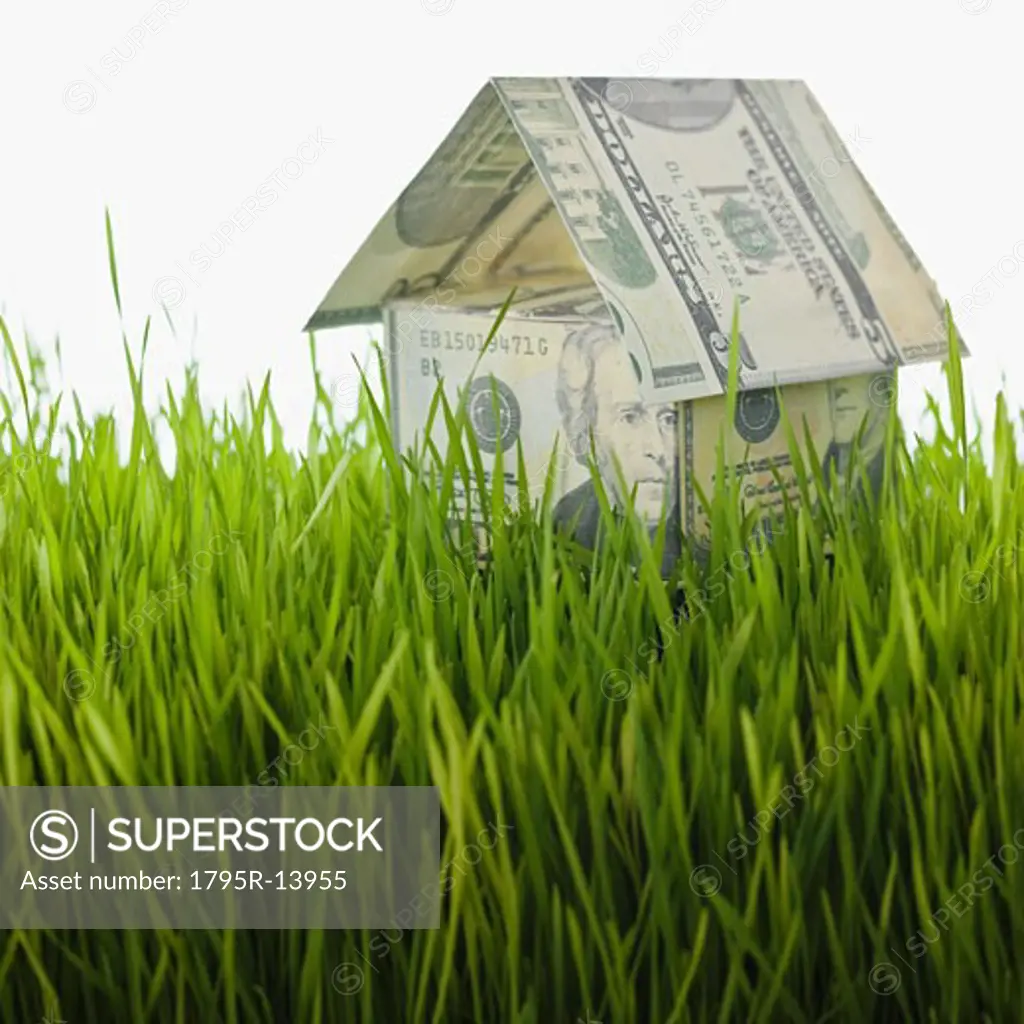 Money house in grass