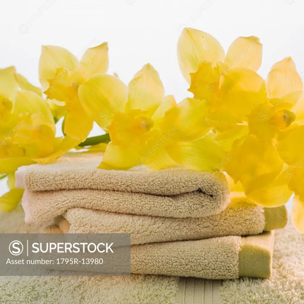 Flowers on stack of towels