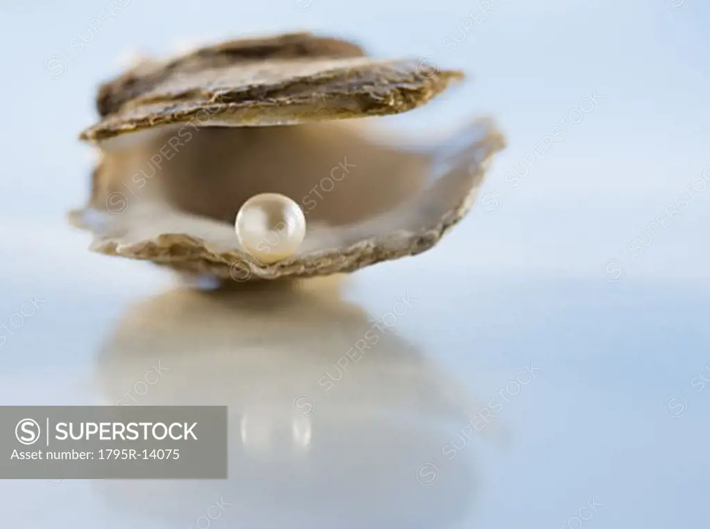 Close-up of pearl in oyster shell