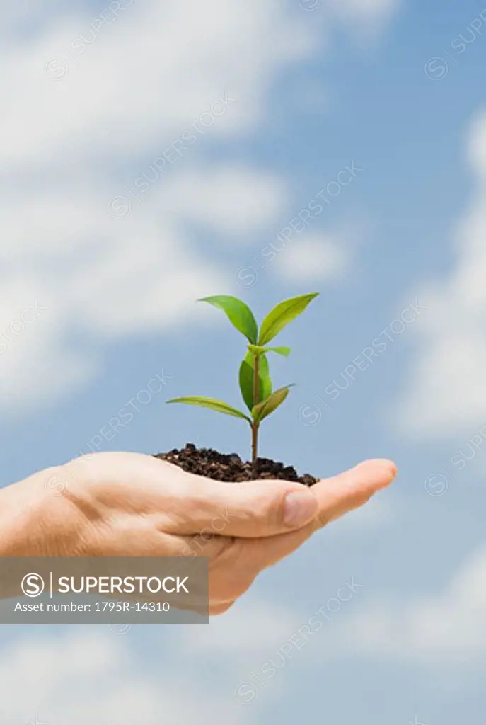 Man holding soil and plant in open hand