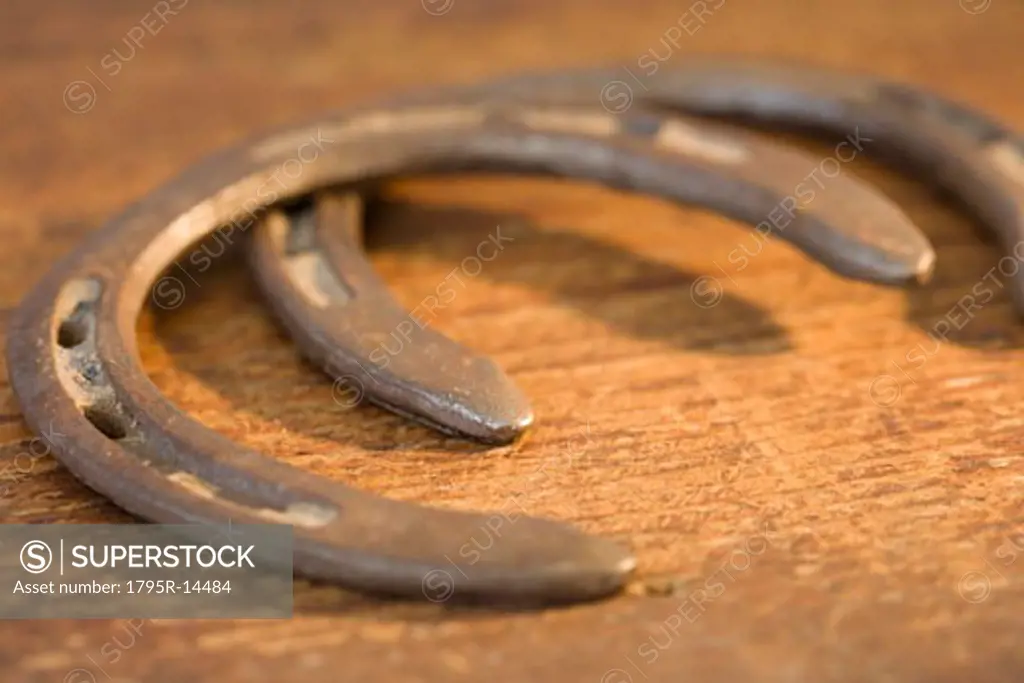 Close-up of horseshoes