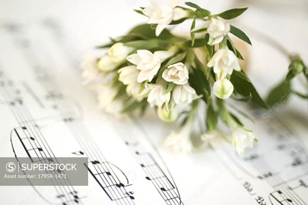 Still life of flowers and sheet music