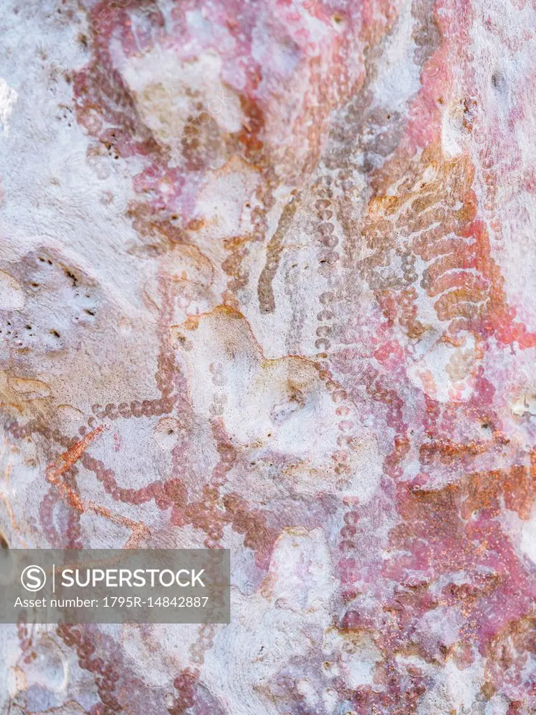 Australia, New South Wales, Abstract patterns on rock in Blue Mountains