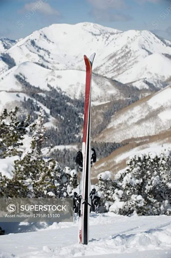 Skis stuck in snow