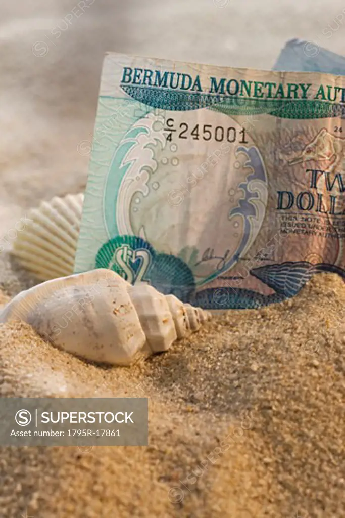 Close-up of Bermuda currency in sand with seashells