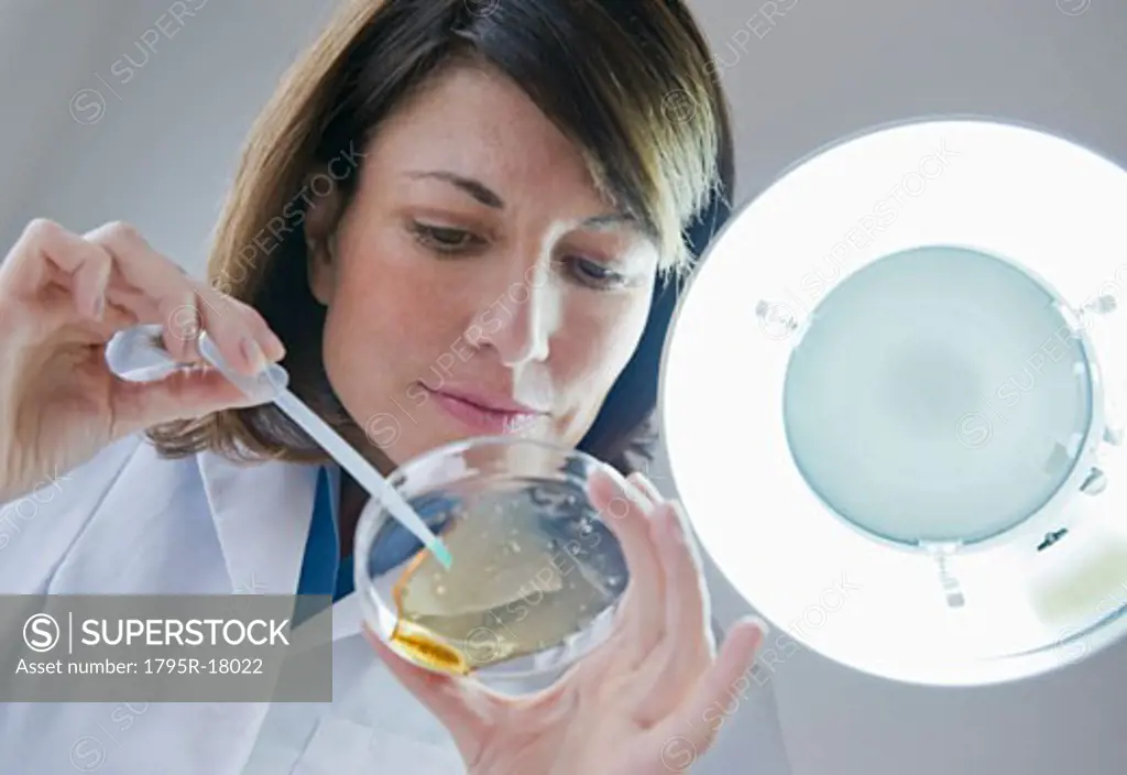 Female scientist dropping liquid in petri dish