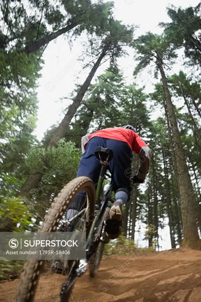 Mountain bikers riding in forest