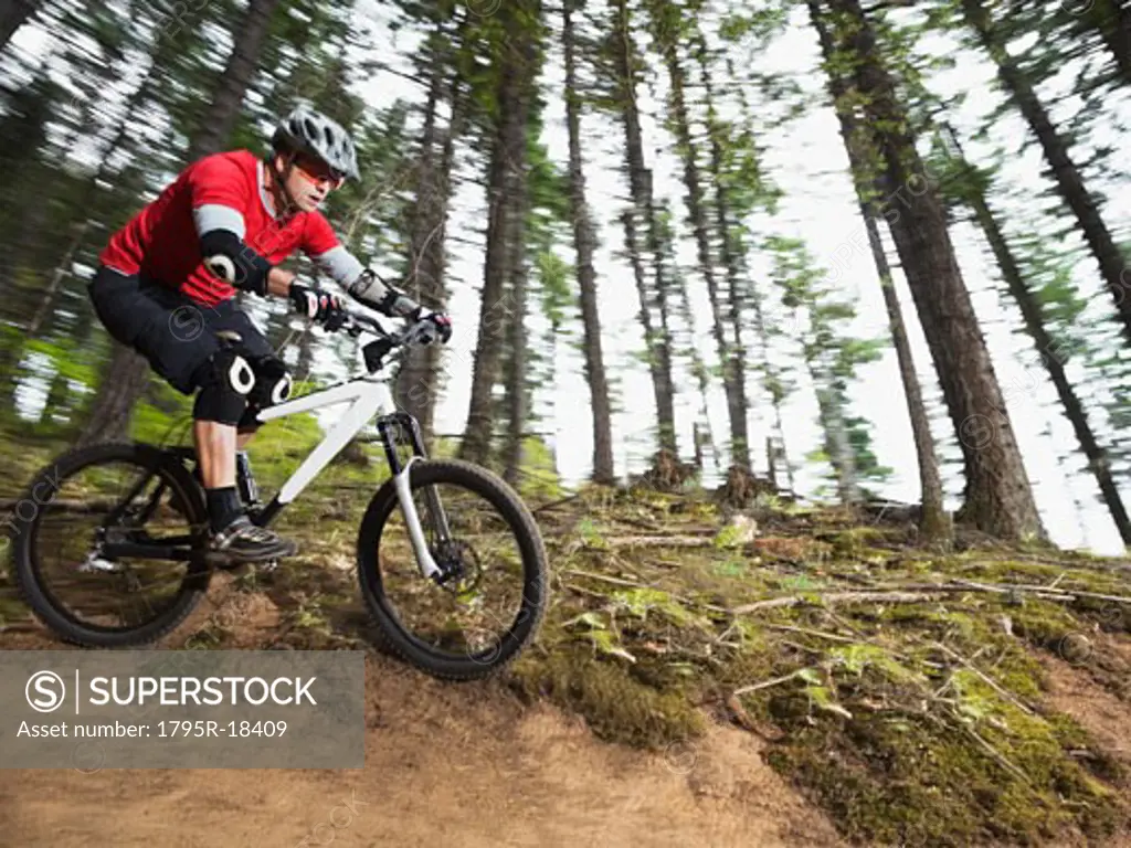Mountain biker riding on forest trail