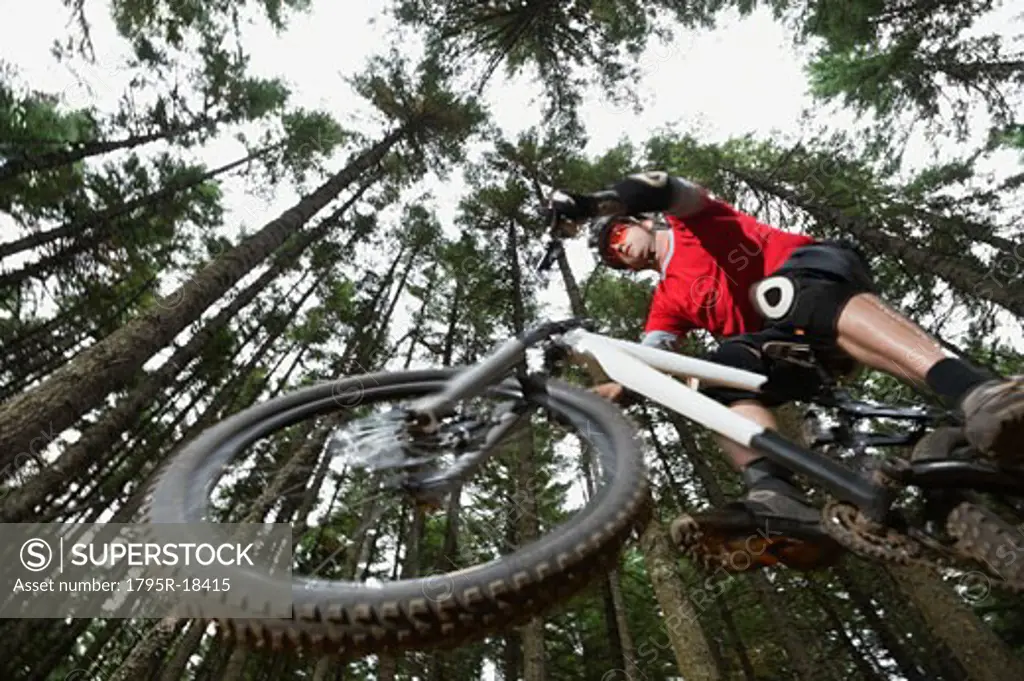 Mountain biker in mid-air in forest