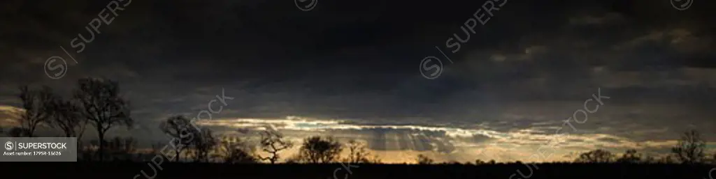 Sunbeams shining from clouds over African landscape