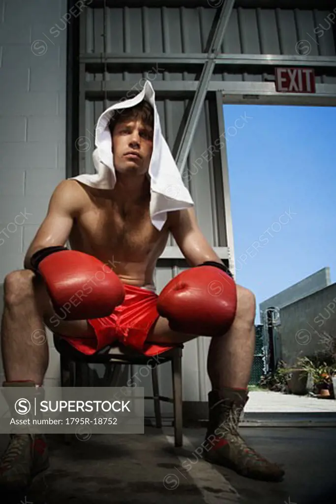 Portrait of boxer sitting on stool near doorway