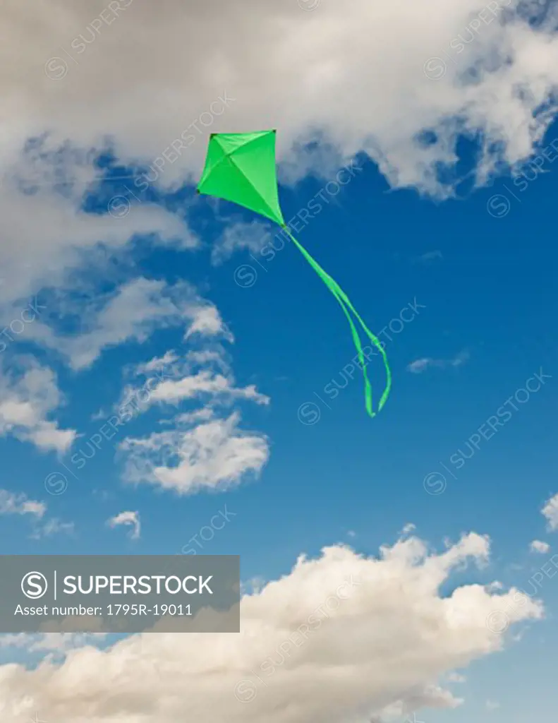 Green kite in sky