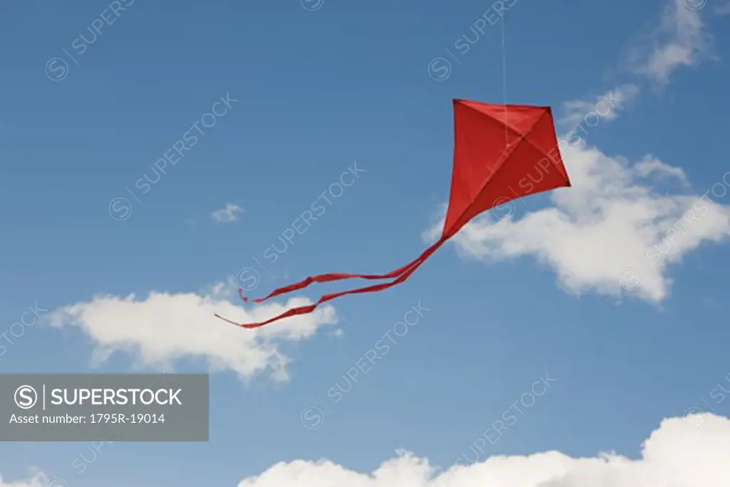 Red kite in sky