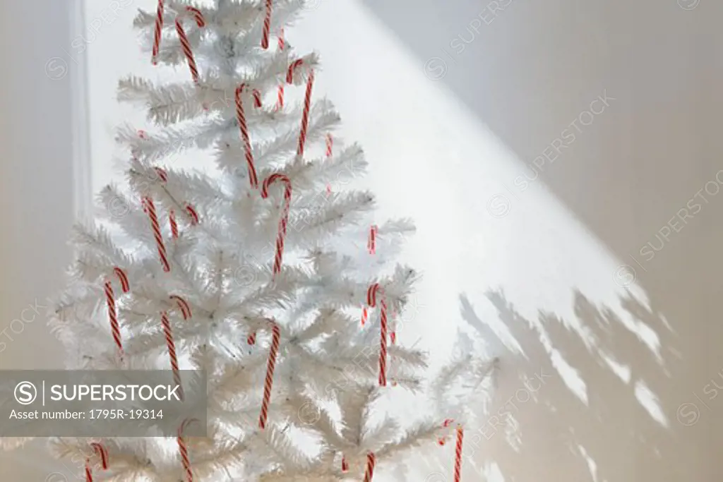 Candy canes on artificial Christmas tree