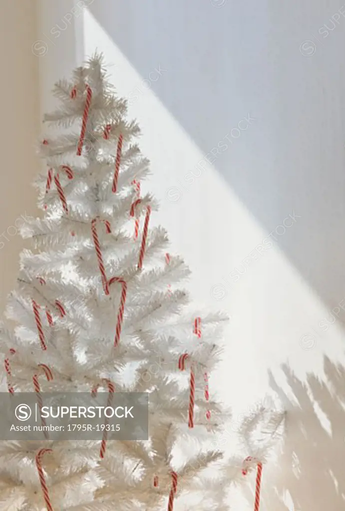 Candy canes on artificial Christmas tree