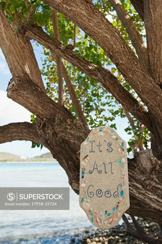 Optimistic sign on tropical tree