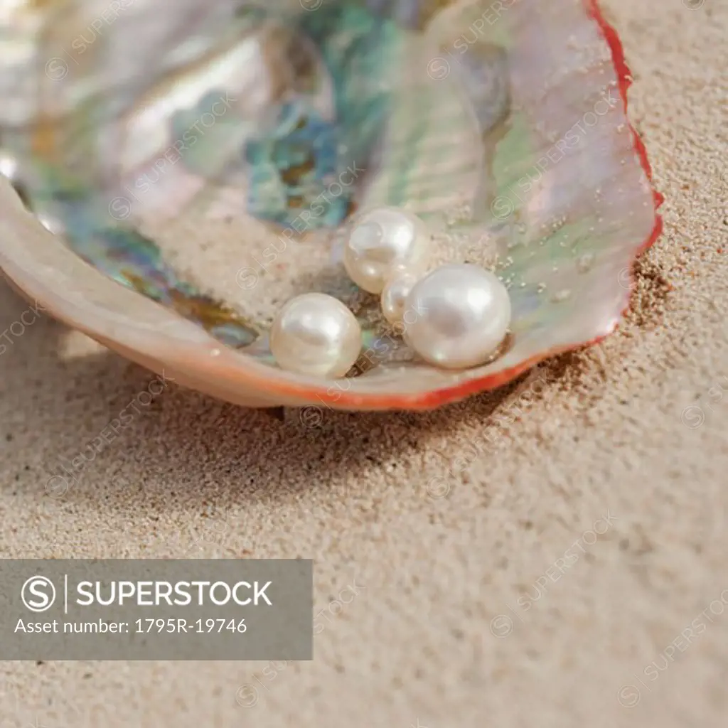 Close-up of pearls in oyster shell
