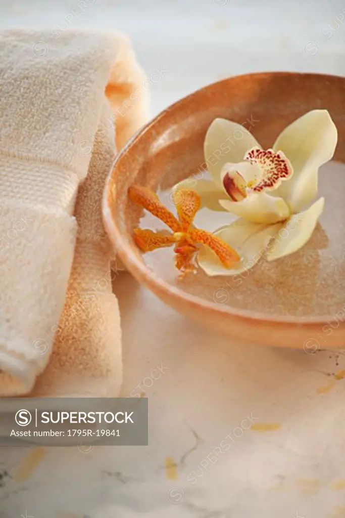 Tropical flowers in bowl of water