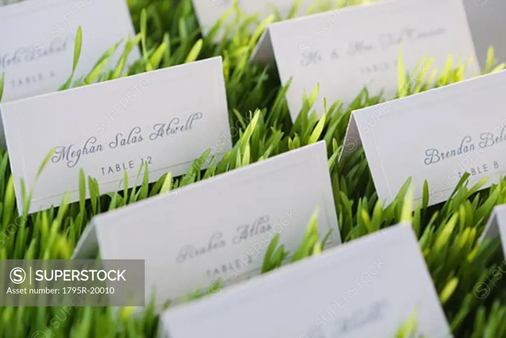 Wedding table place cards in grass