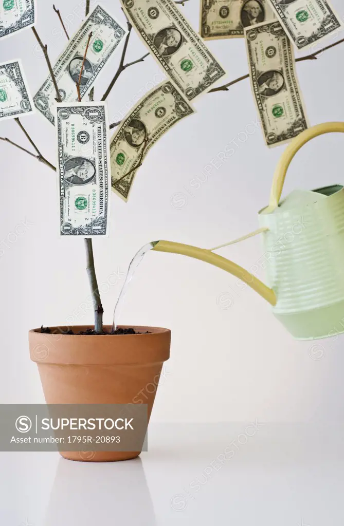 Money growing in a pot