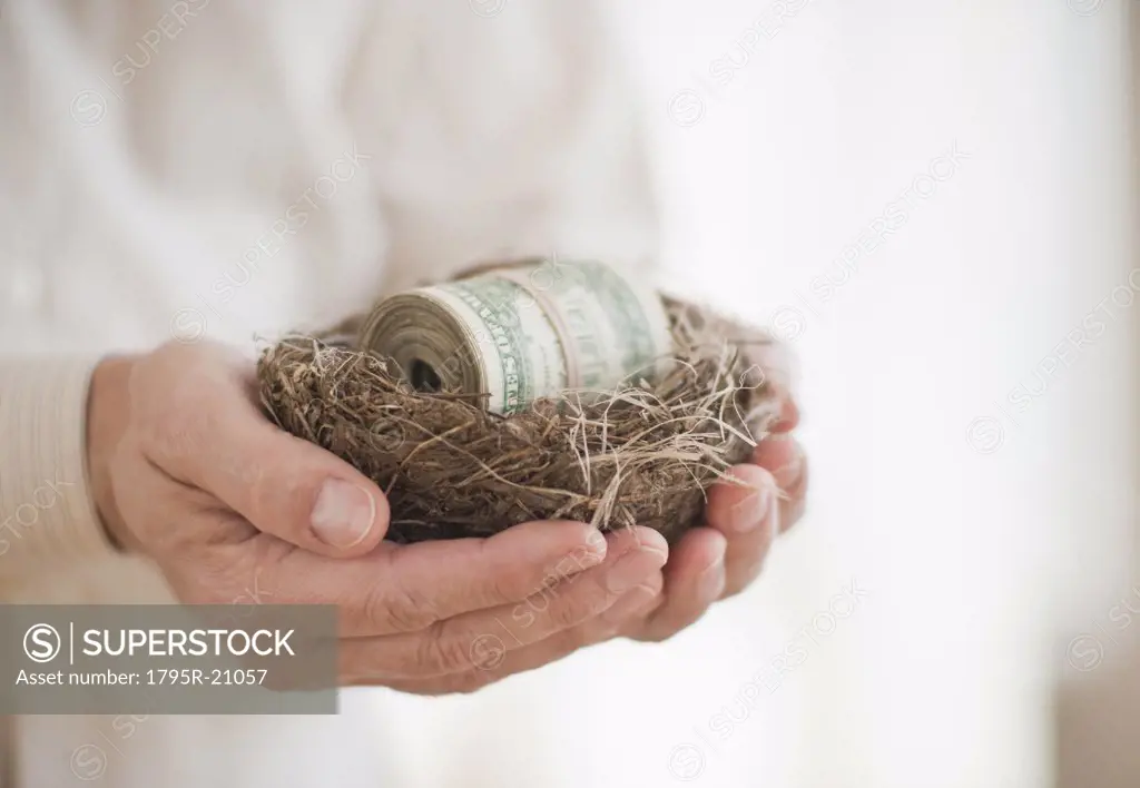 Hands holding a nest with money in it