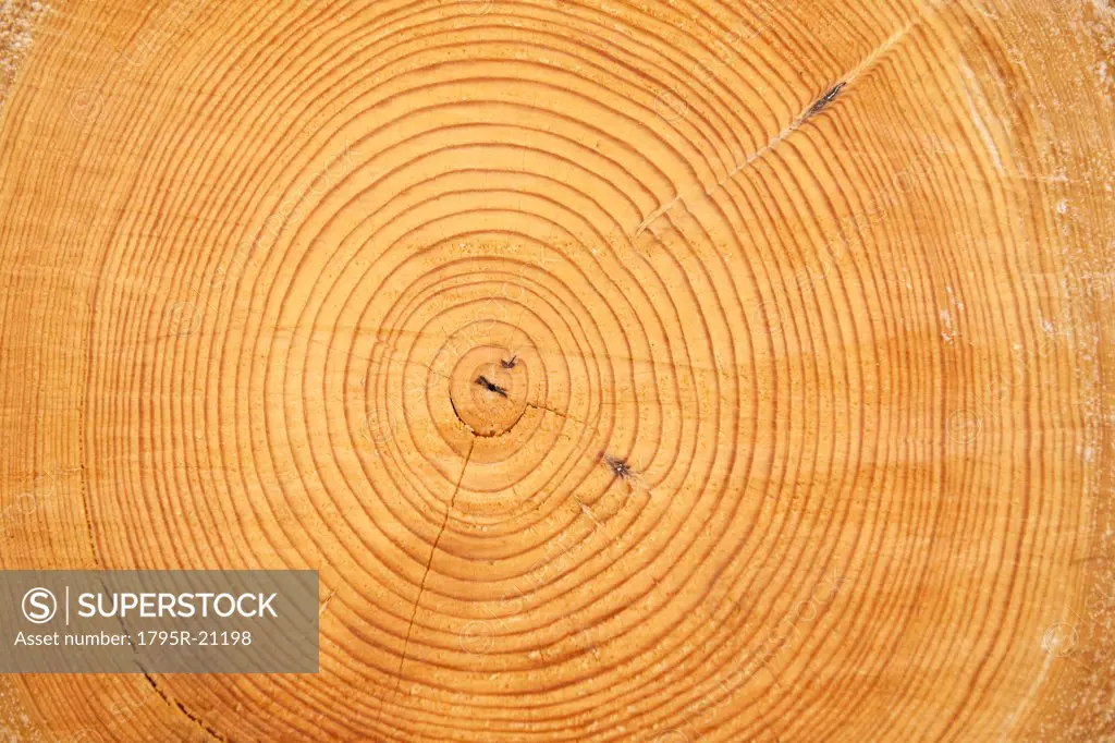 A log