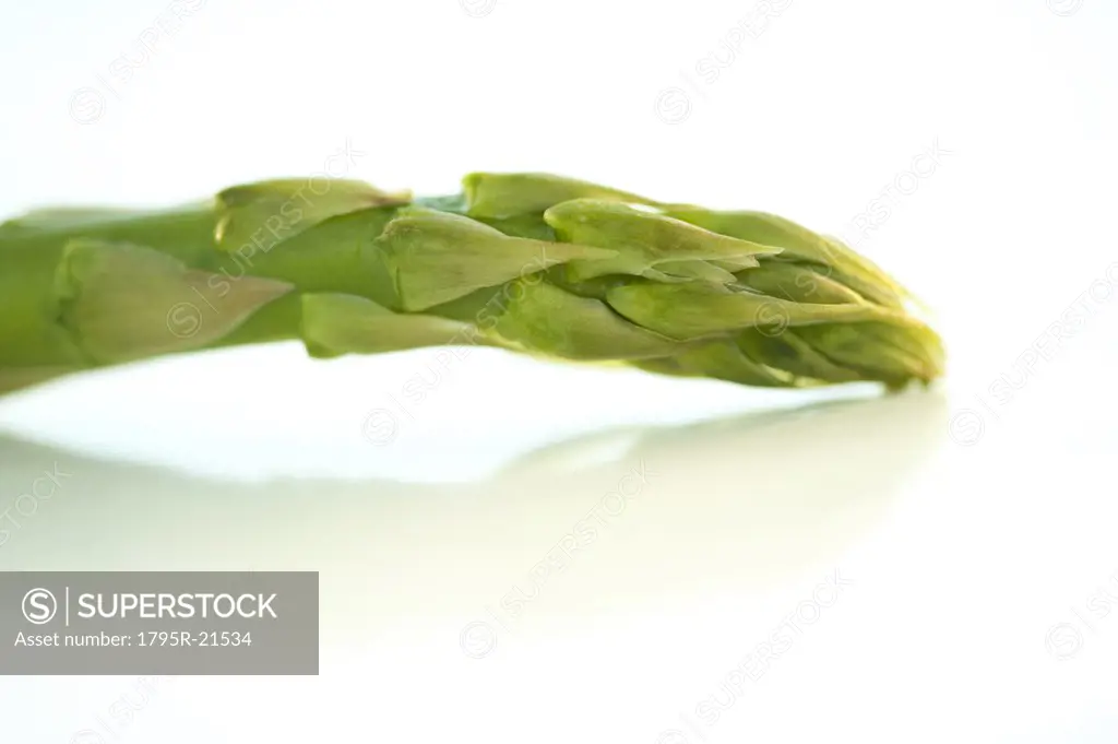 A spear of asparagus
