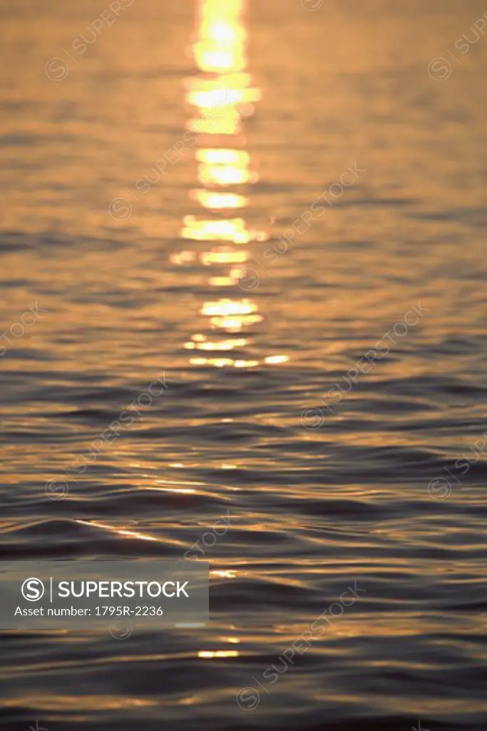 Sunlight reflected on water