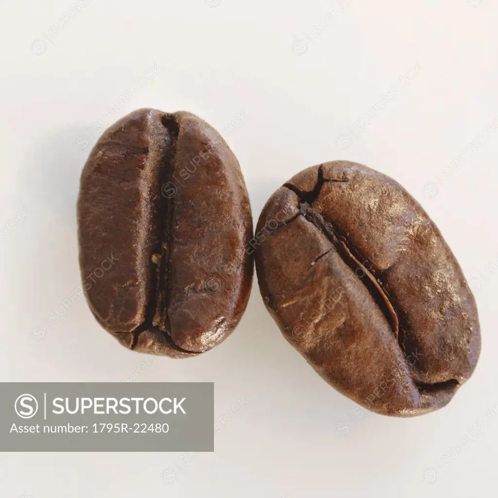 Two roast coffee beans, studio shot