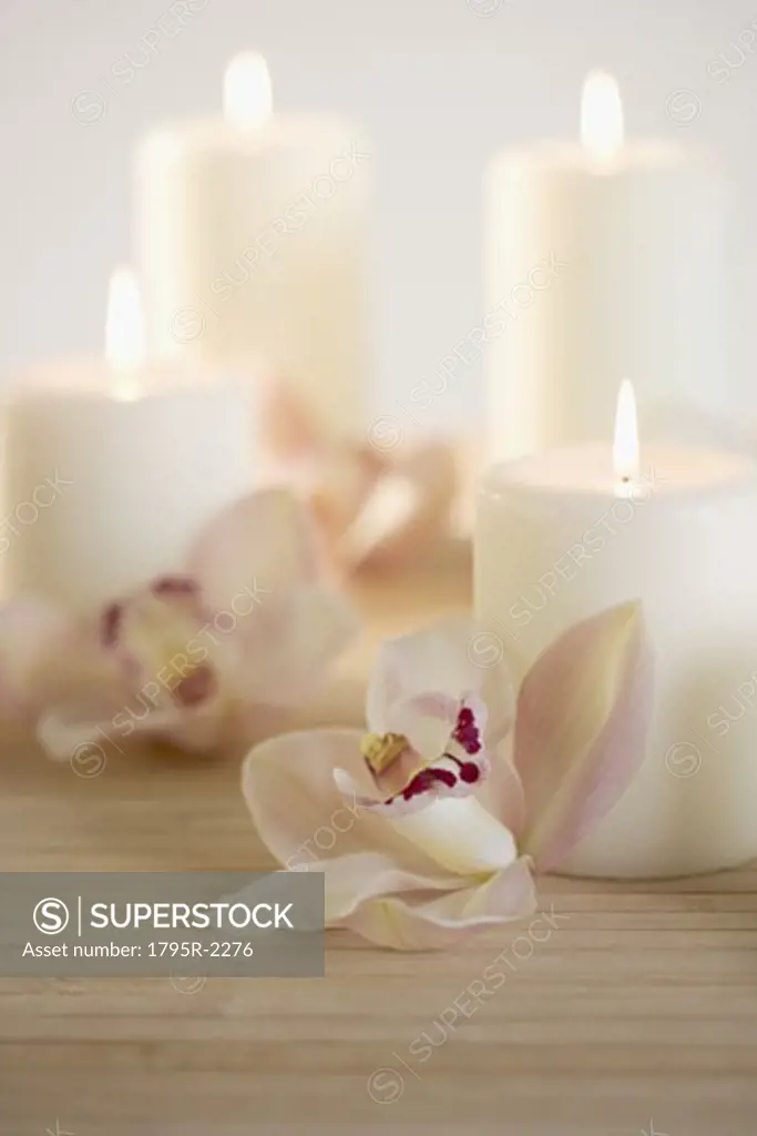 Still life of orchids and candles
