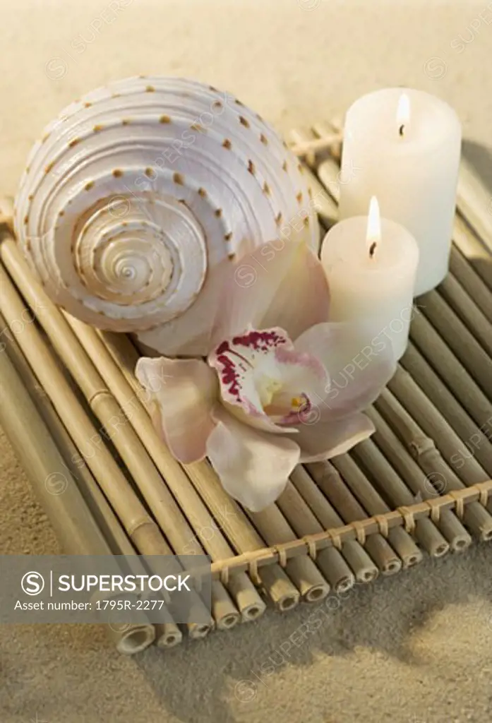 Still life of orchids, candles and seashell