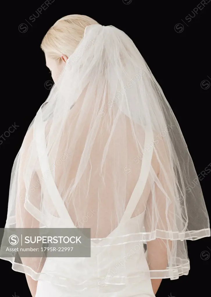 Bride wearing veil, rear view