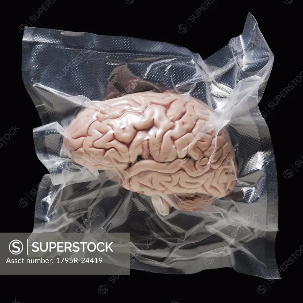 Shrink wrapped brain