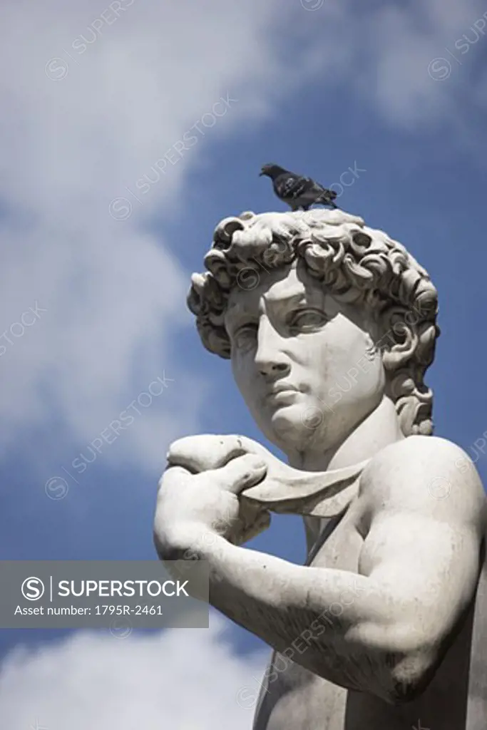 Michelangelo's David in the Piazza della Signoria Florence Italy