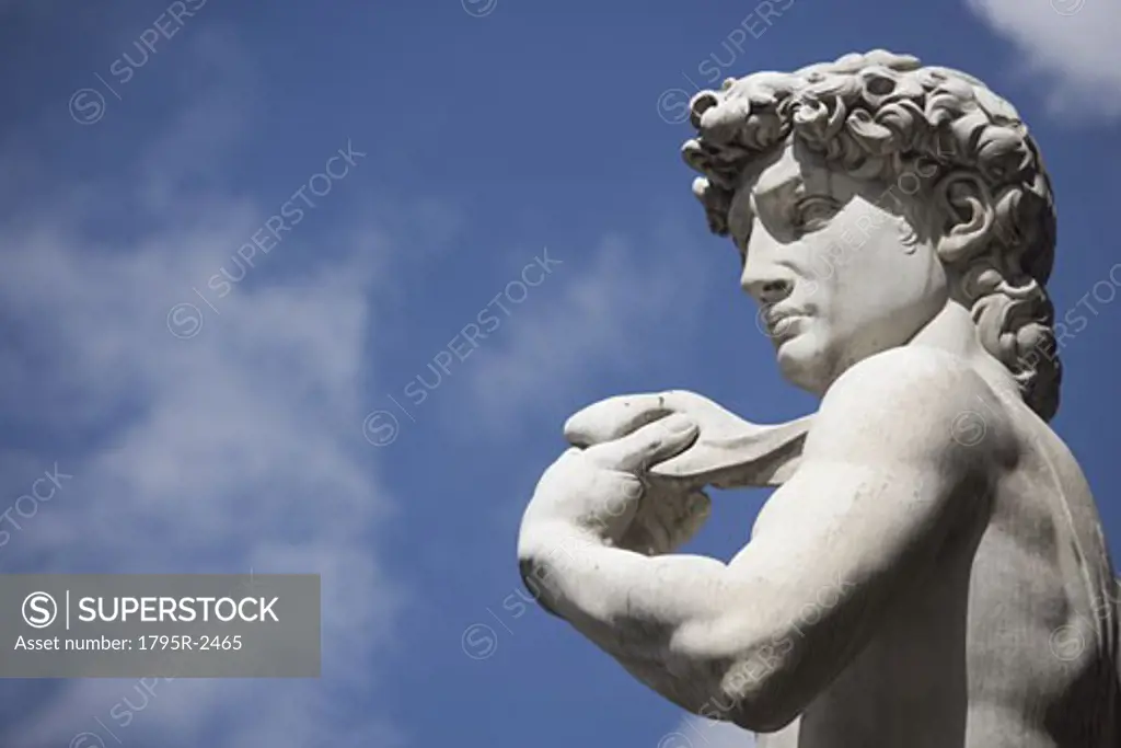 Michelangelo's David in the Piazza della Signoria Florence Italy