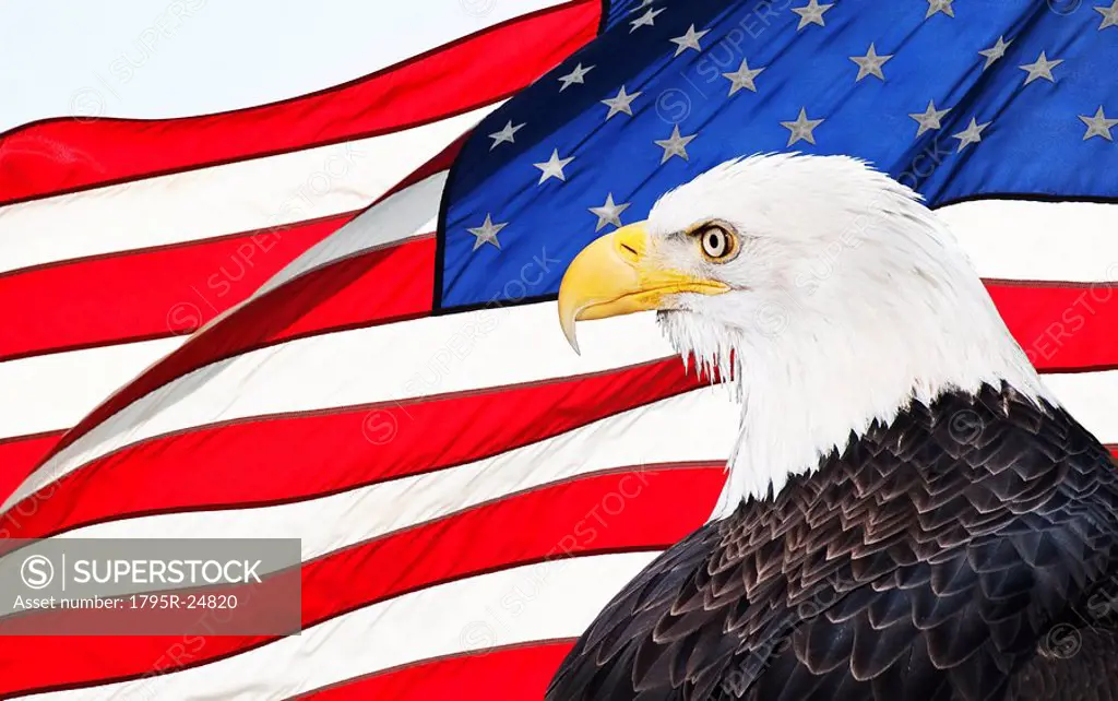 Eagle and American flag