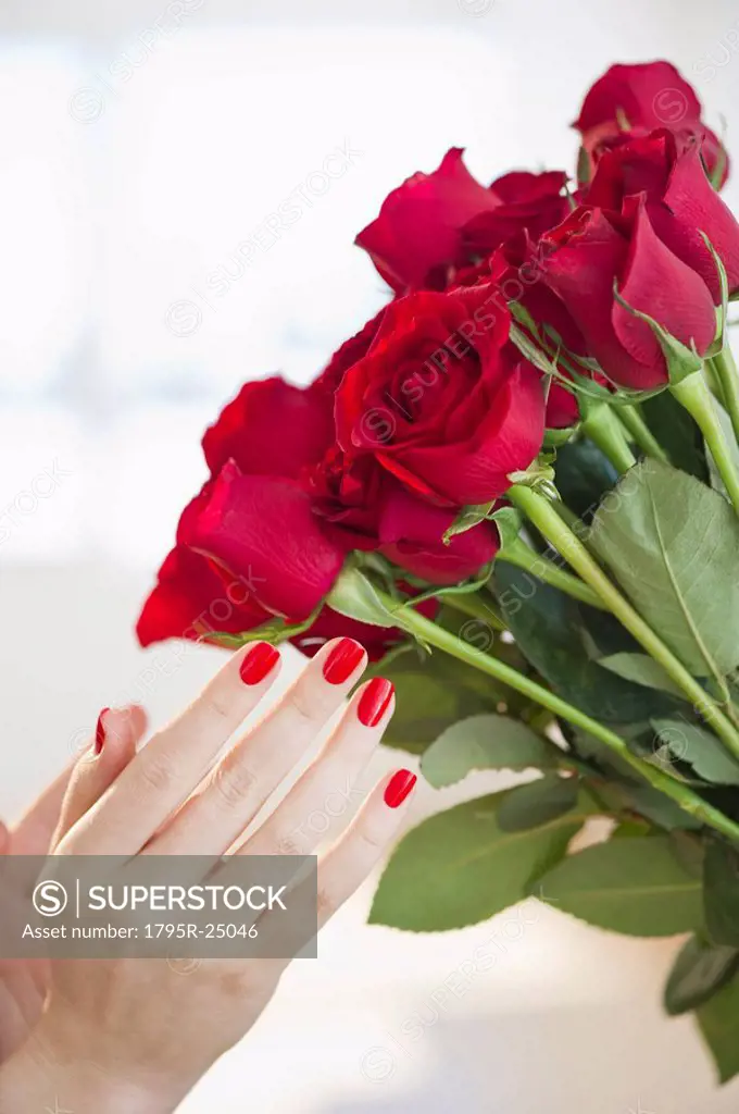 Red roses and hand with red nail polish