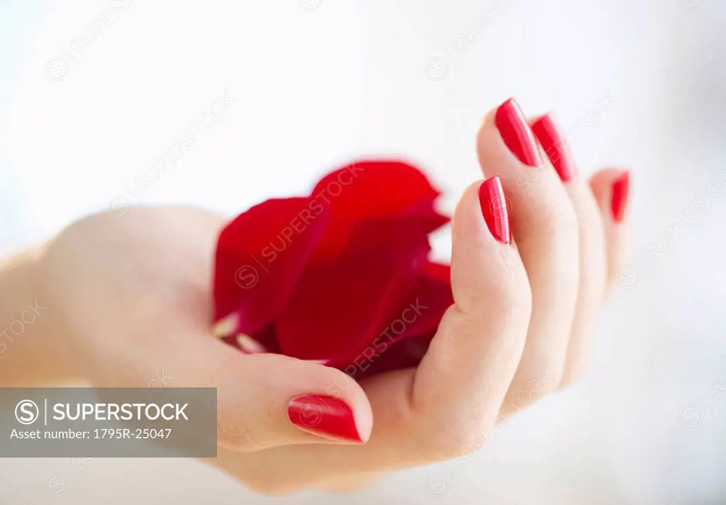 Hand holding red rose petals