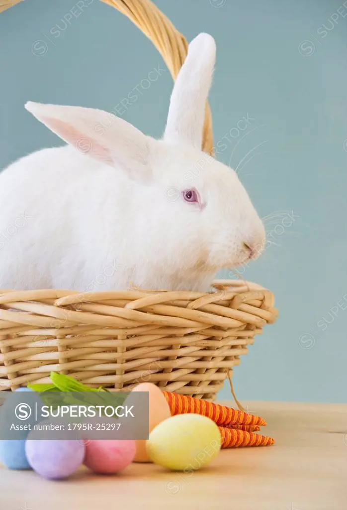 Rabbit in Easter basket