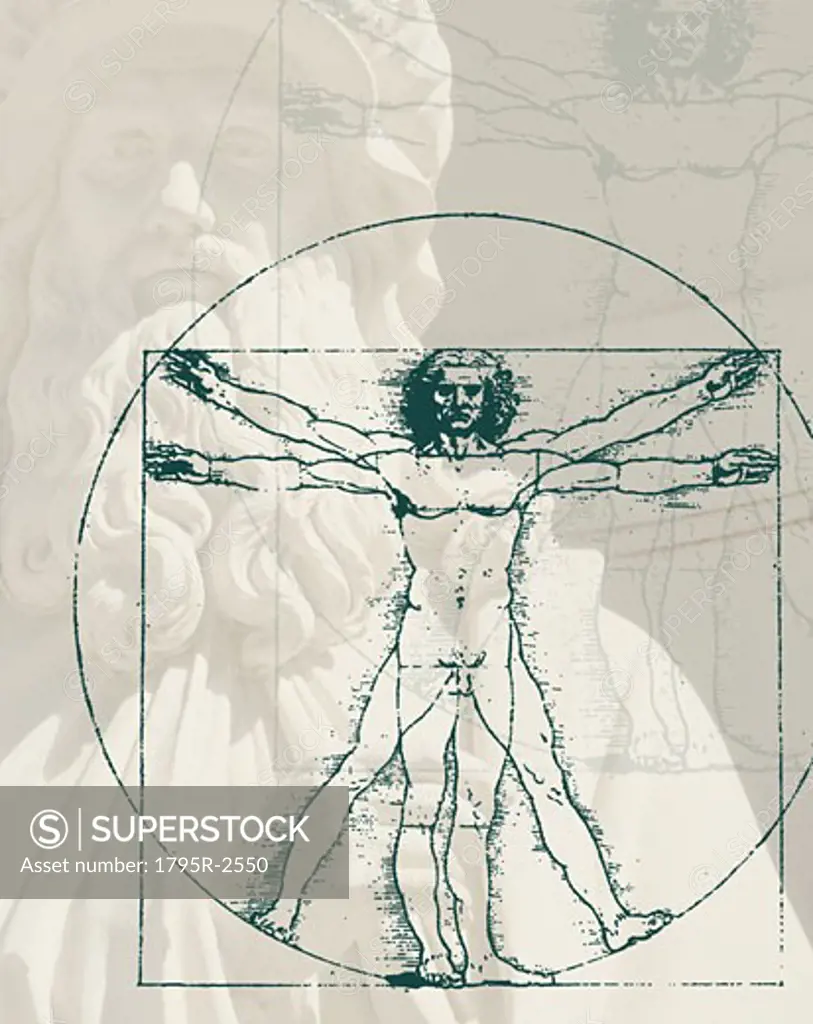 DaVinci drawing of body of man