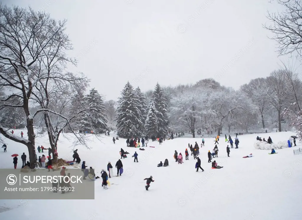 Children sledding in Central Park