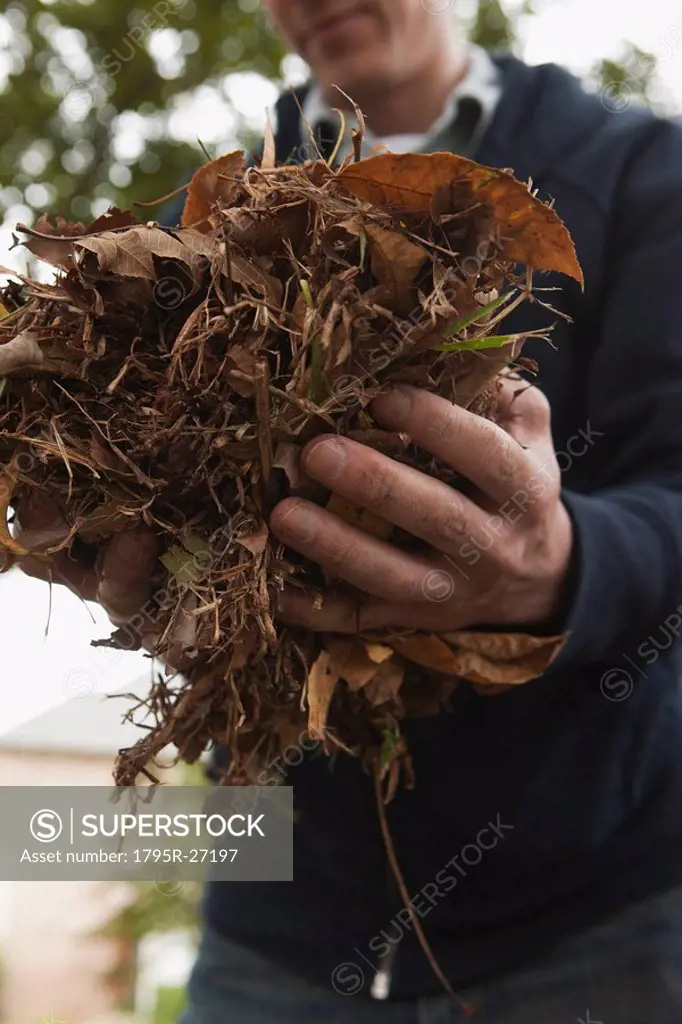 Carrying pile of leaves