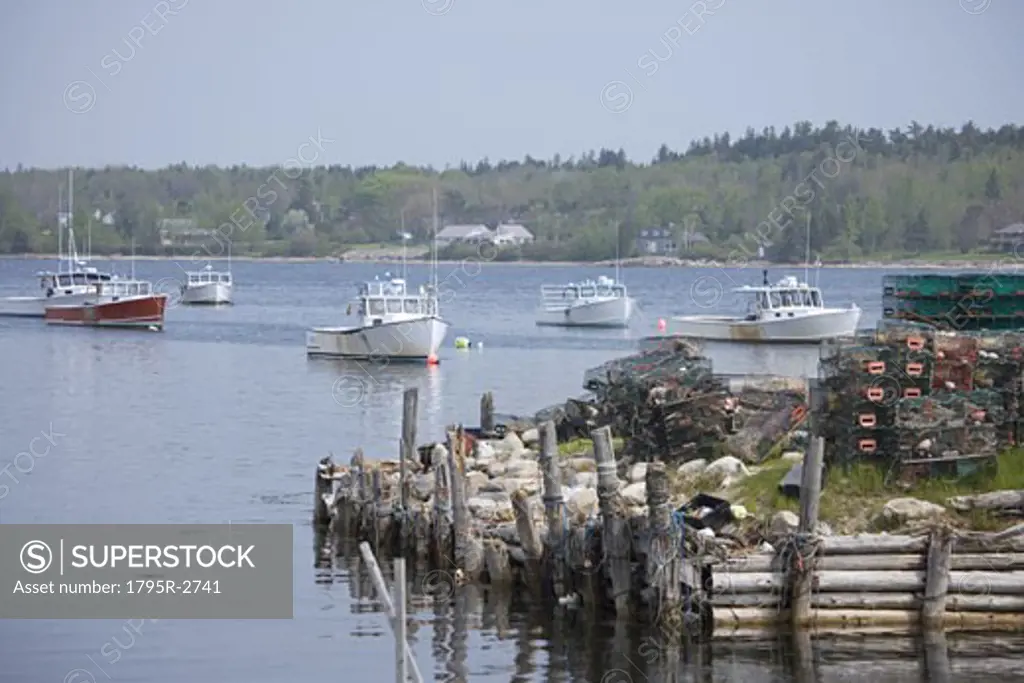 Lobster boats moored along the Maine coast